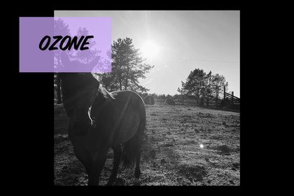Ozone