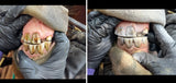 Mastering the Equine Mouth -equine dentistry series