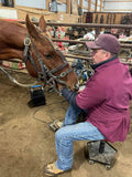 BEYOND EQUINE Dentistry