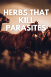 What’s Eating your horse ALIVE