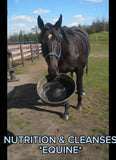 Intro -Nutrients To Die For-Equine