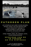 Pet Nutrition and Cleanses