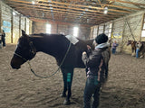 Intro -Nutrients To Die For-Equine