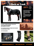 BACK ON TRACK - Horse