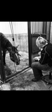 BEYOND EQUINE Dentistry