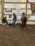 Intro -Nutrients To Die For-Equine