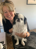 Pet Nutrition & Cleanses with Alignment Series