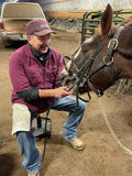 BEYOND EQUINE Dentistry