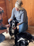 Pet Nutrition & Cleanses with Alignment Series