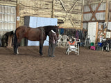 Intro -Nutrients To Die For-Equine