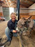 Mastering the Equine Mouth -equine dentistry series