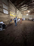 Intro -Nutrients To Die For-Equine