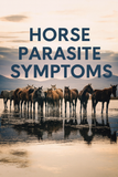 What’s Eating your horse ALIVE