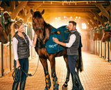 Bemer -Equine