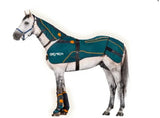Bemer -Equine