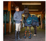 Bemer -Equine