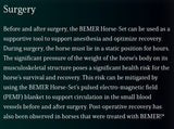 Bemer -Equine