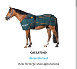 Bemer -Equine