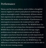 Bemer -Equine