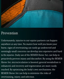 Bemer -Equine