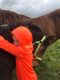 Animal Communication