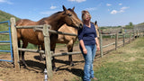 Animal Communication