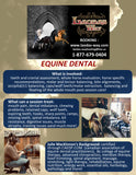 Equine Dentistry