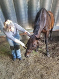 Equine Dentistry